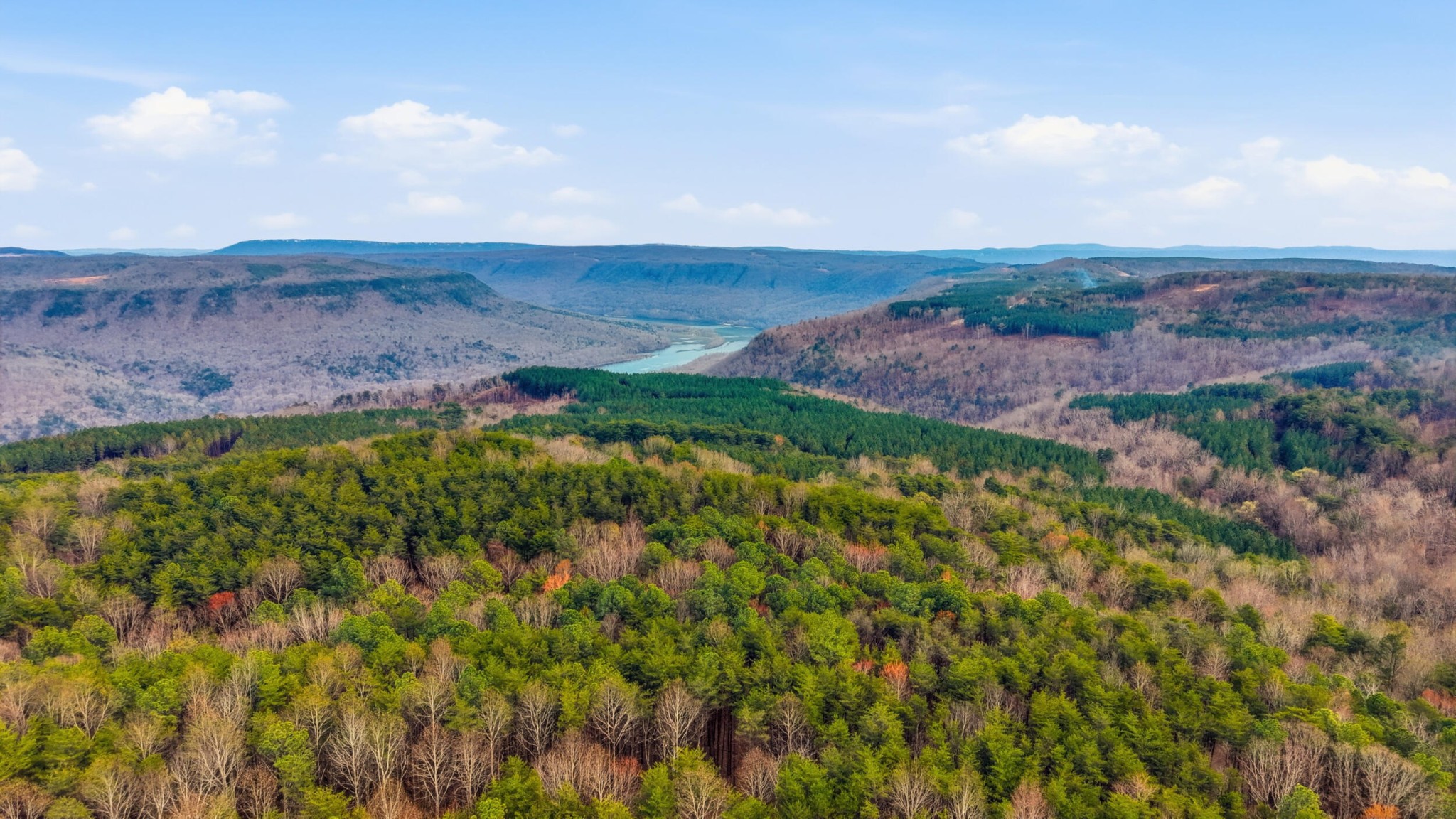 2154 Fallen Oak Pass Guild, TN 37340 - Photo 9 of 13