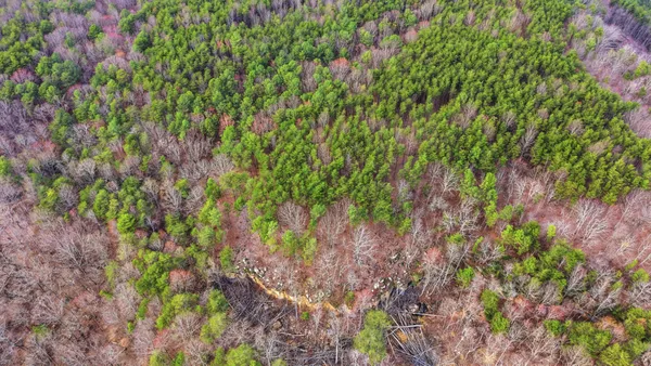 a view of a lake and green valley