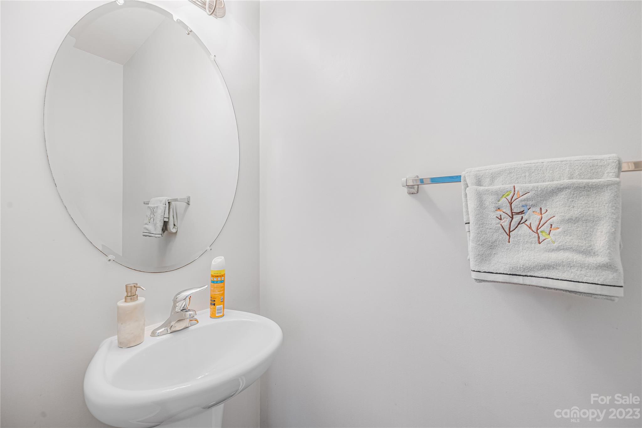 8307 Viewpoint Lane Cornelius, NC 28031 - Photo 9 of 25 a bathroom with a sink and mirror