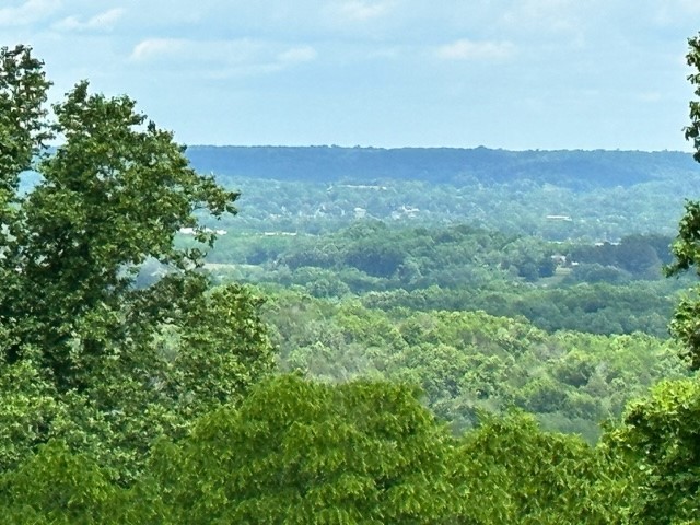 an aerial view of houses covered in trees