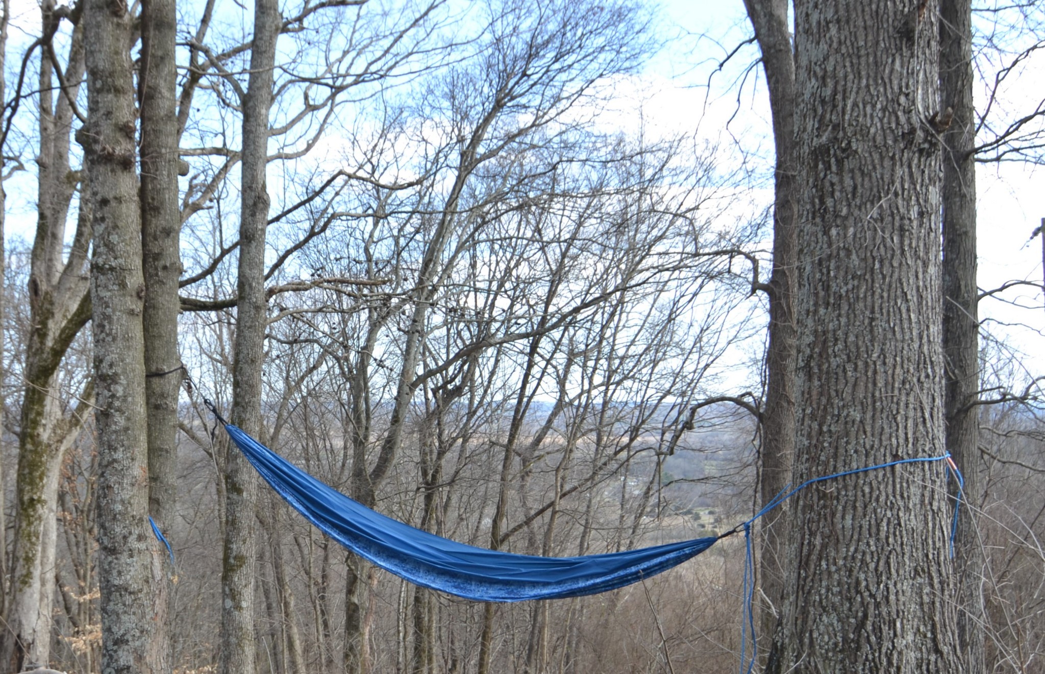 815 Solomon Road Pulaski, TN 38478 - Photo 11 of 41 a view of mountain with tree in the background