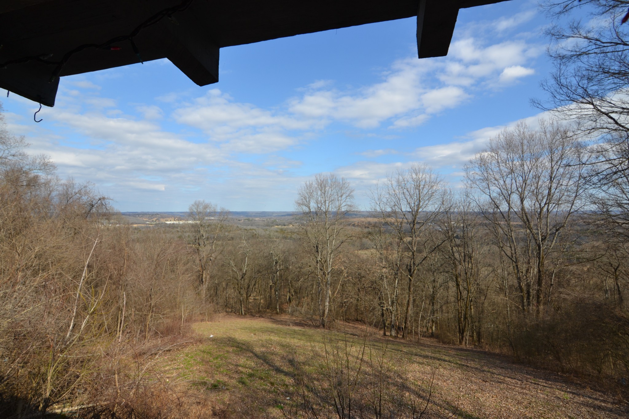 815 Solomon Road Pulaski, TN 38478 - Photo 12 of 41 a view of a dry yard