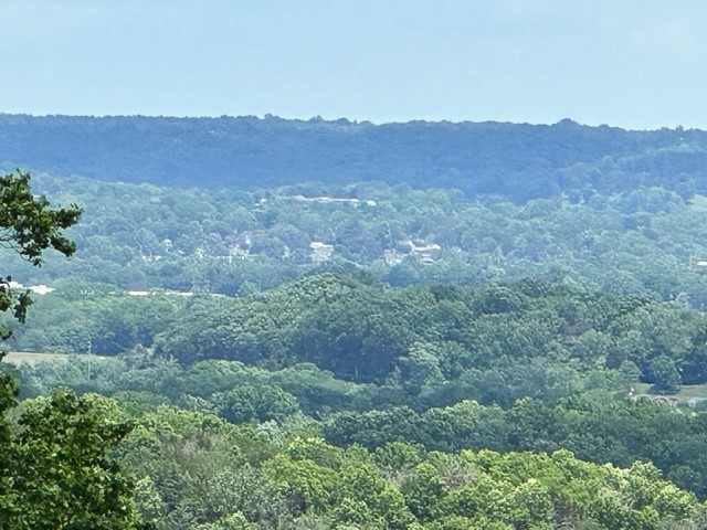 815 Solomon Road Pulaski, TN 38478 - Photo 2 of 41 a view of a mountain range with trees in the background
