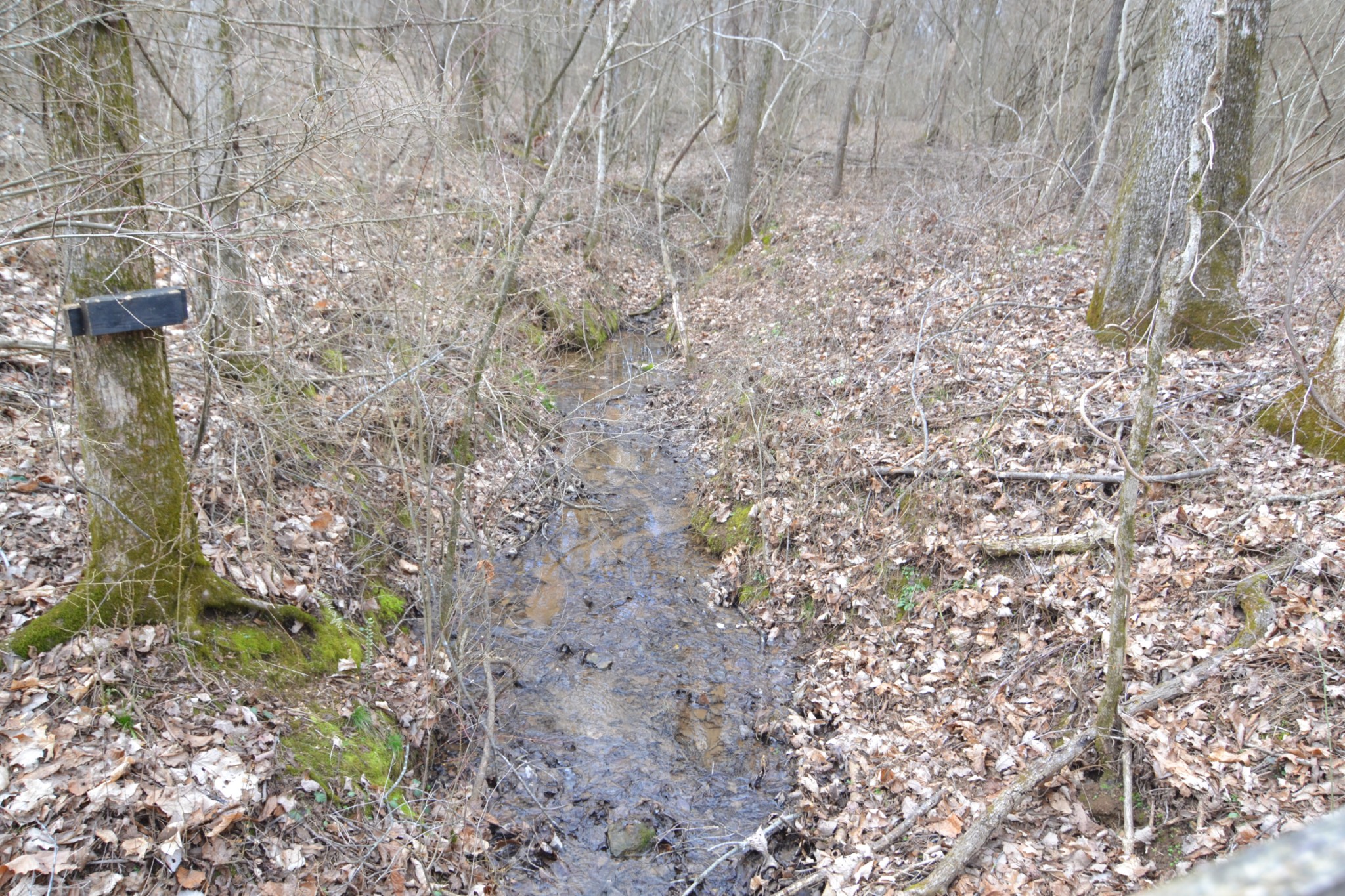 815 Solomon Road Pulaski, TN 38478 - Photo 27 of 41 a view of a yard with brick wall