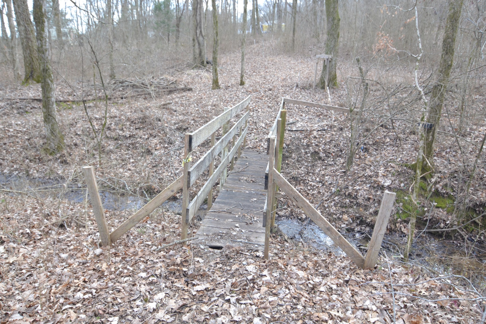 815 Solomon Road Pulaski, TN 38478 - Photo 28 of 41 a view of a pathway with a yard
