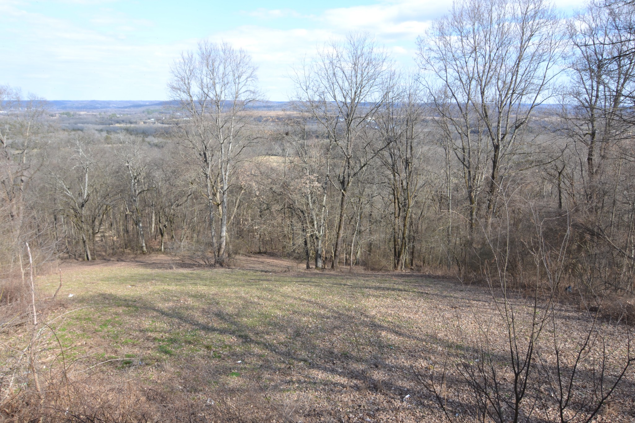 815 Solomon Road Pulaski, TN 38478 - Photo 3 of 41 a view of outdoor space and green space