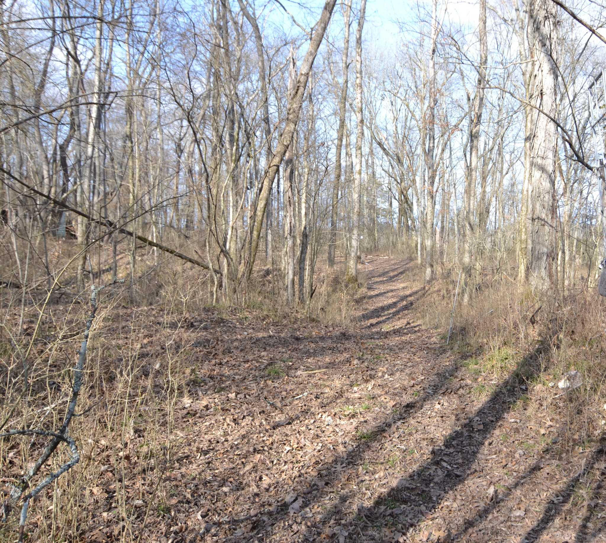 815 Solomon Road Pulaski, TN 38478 - Photo 32 of 41