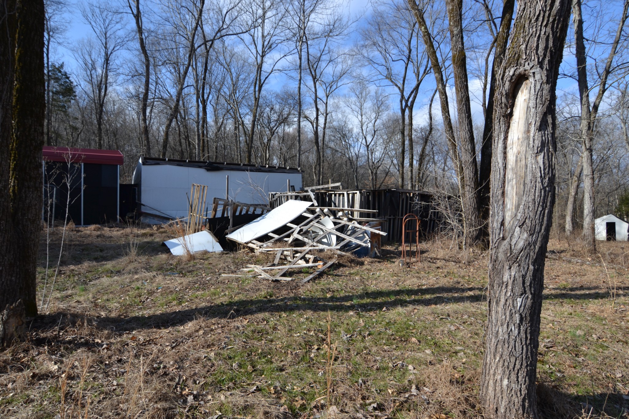 815 Solomon Road Pulaski, TN 38478 - Photo 38 of 41 a view of a backyard with chair and tables