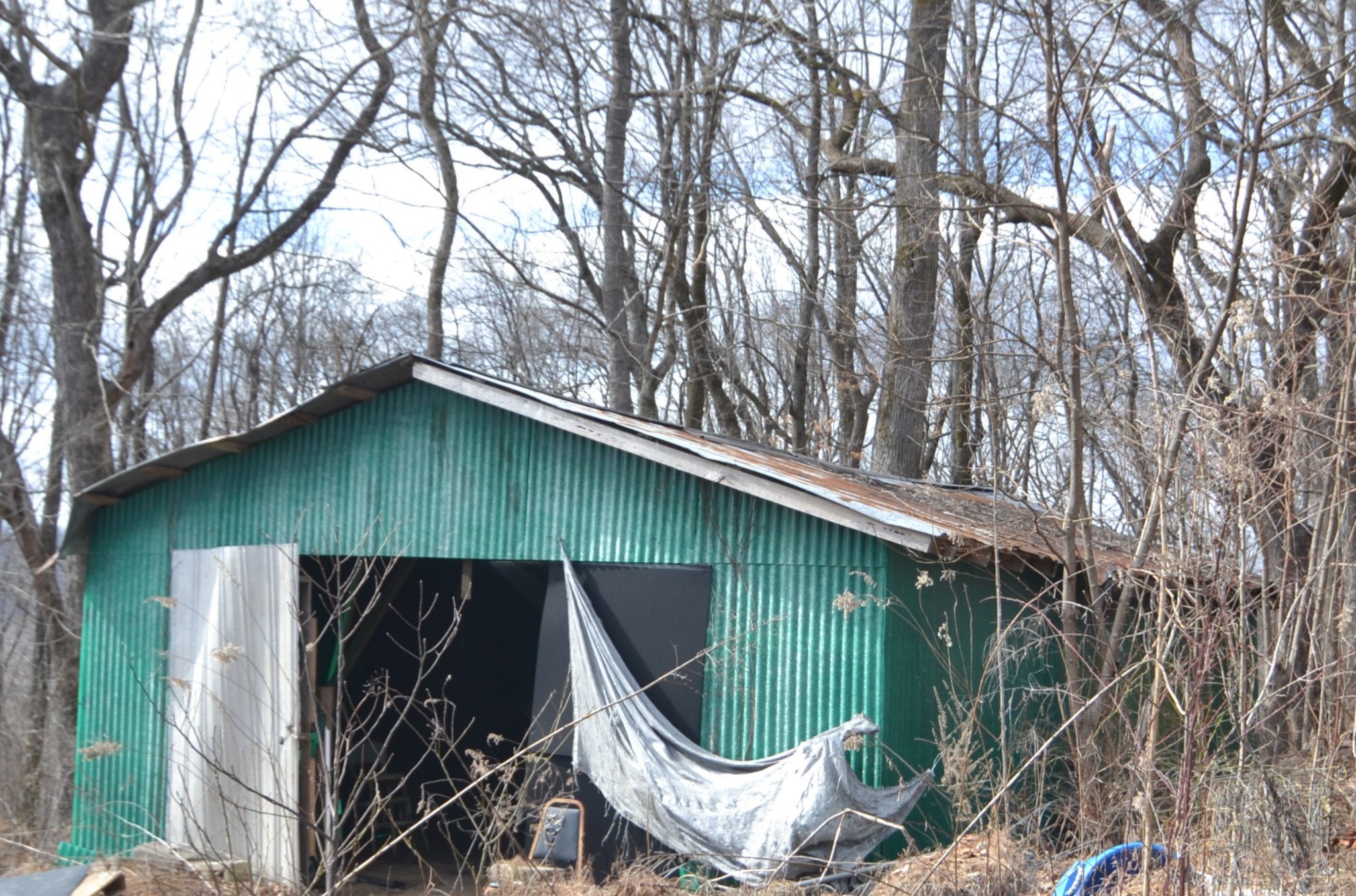 815 Solomon Road Pulaski, TN 38478 - Photo 10 of 41 a view of outdoor space and deck