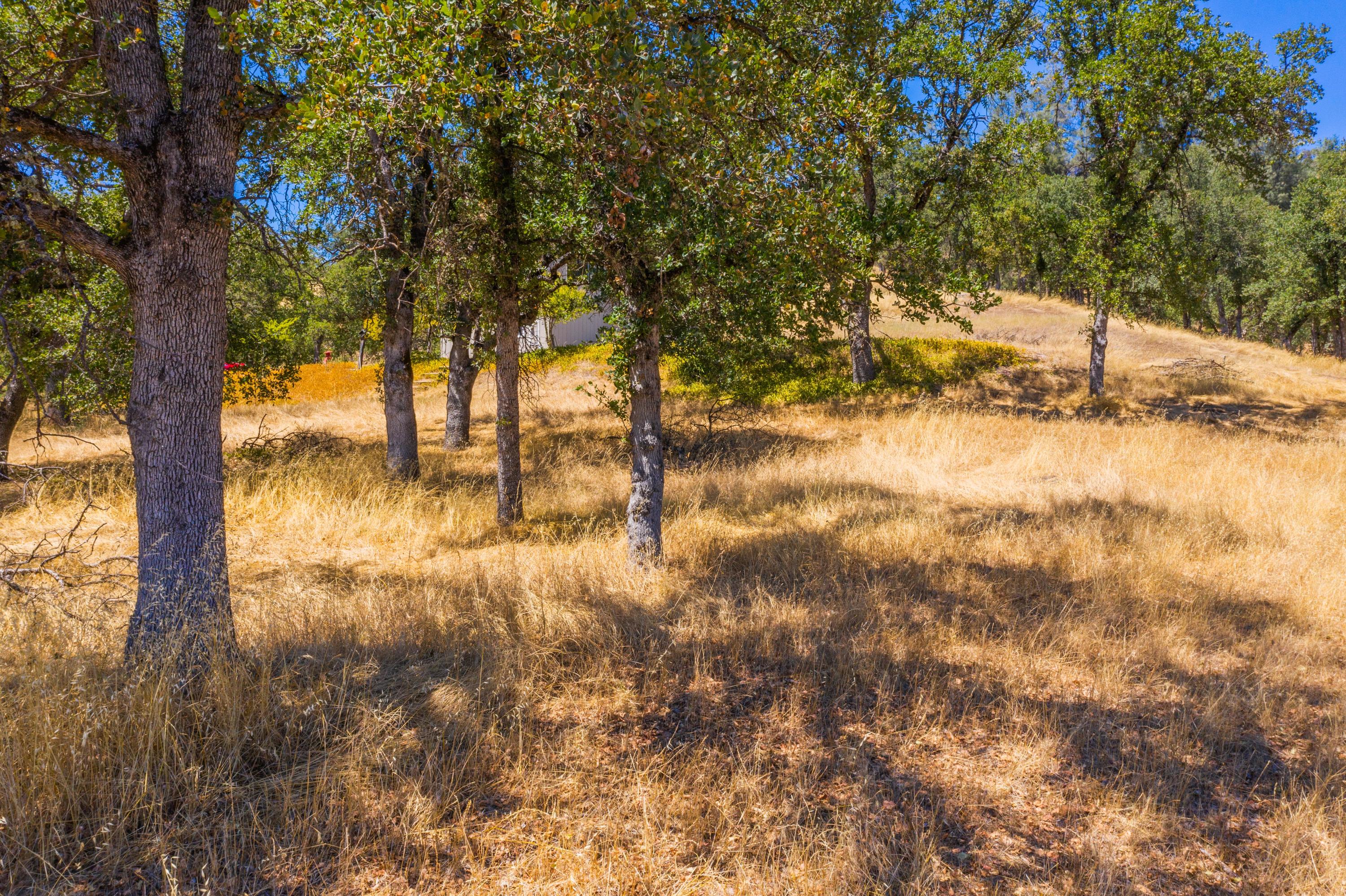 10810 Oak Run Road Oak Run, CA 96069 - Photo 15 of 31 10810-10