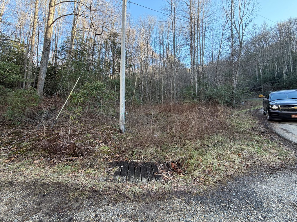 0 Old Faber Road Topton, NC 28781 - Photo 8 of 10