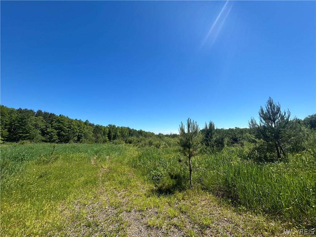 Warner Hill Road South Wales, NY 14139 - Photo 5 of 5