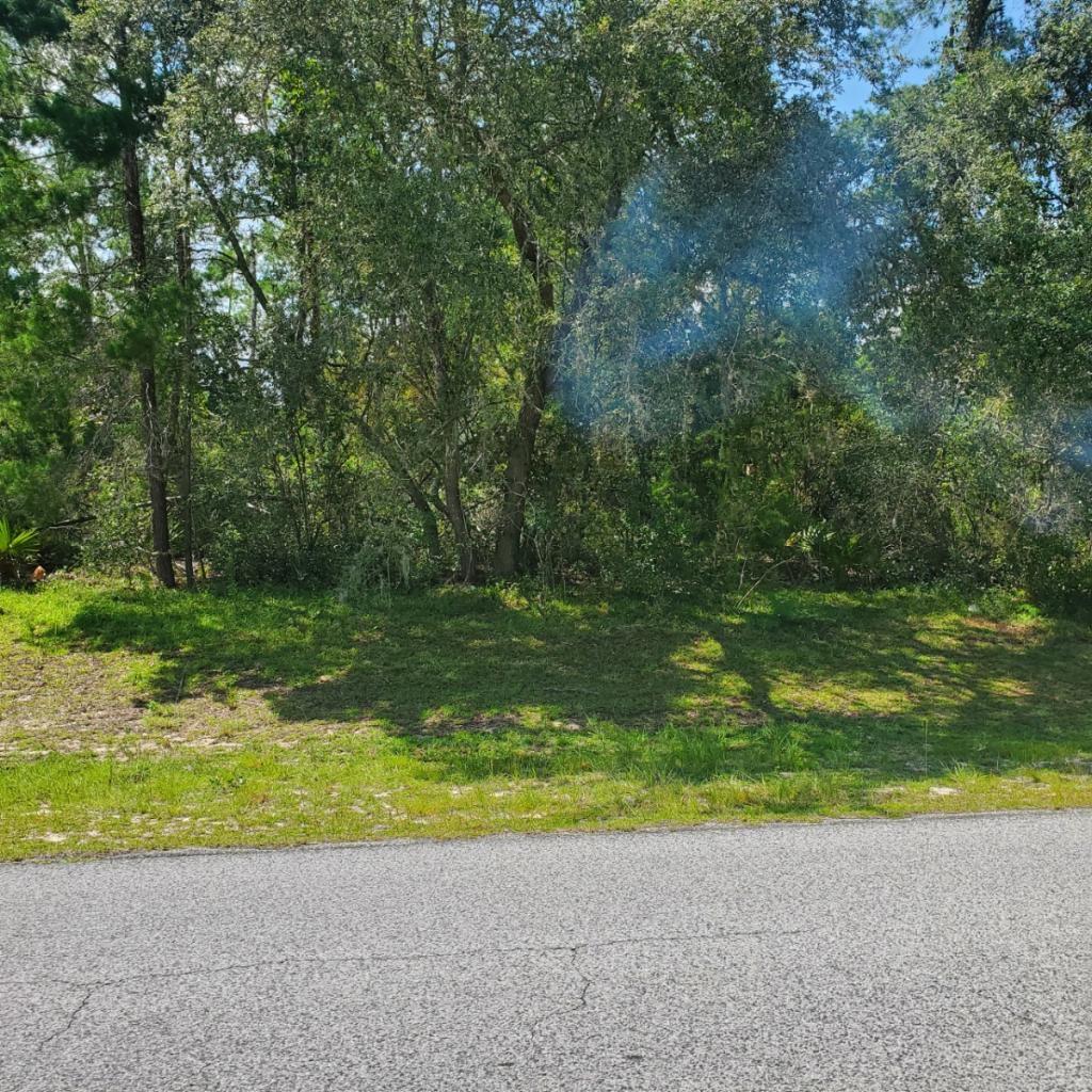 . Southwest 163rd Pl Road Ocala, FL 34473 - Photo 3 of 4 Resized_Resized_20230702_153329