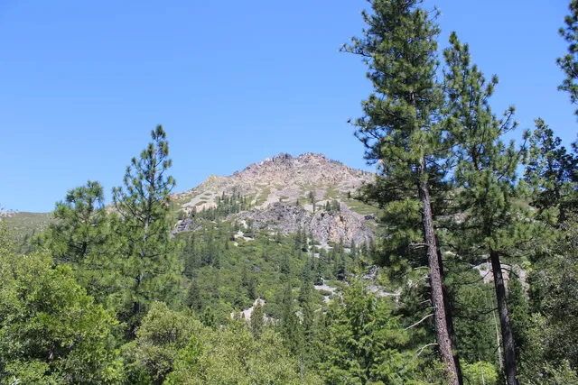 $75,000 | 558 Brady Drive, Sierra City, CA 96125