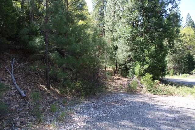 $75,000 | 558 Brady Drive, Sierra City, CA 96125