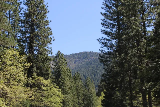 $75,000 | 558 Brady Drive, Sierra City, CA 96125