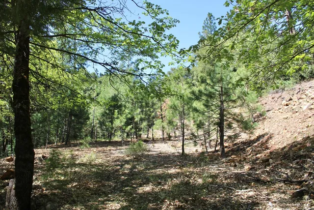 $75,000 | 558 Brady Drive, Sierra City, CA 96125