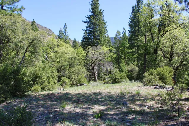 $75,000 | 558 Brady Drive, Sierra City, CA 96125