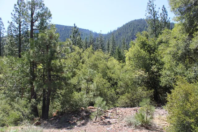 $75,000 | 558 Brady Drive, Sierra City, CA 96125