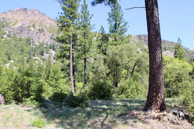 $75,000 | 558 Brady Drive, Sierra City, CA 96125