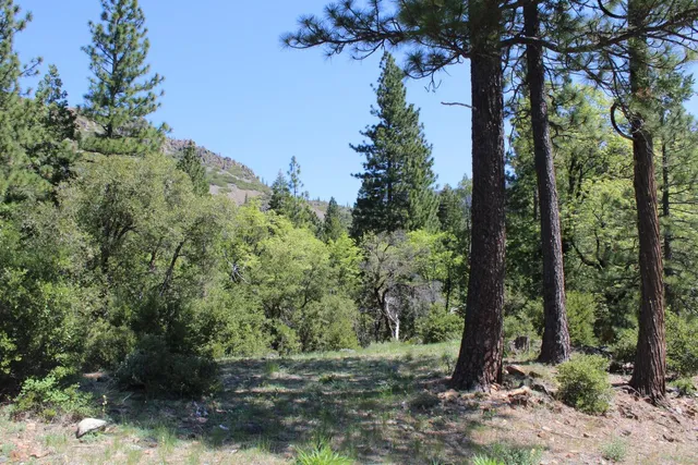 $75,000 | 558 Brady Drive, Sierra City, CA 96125
