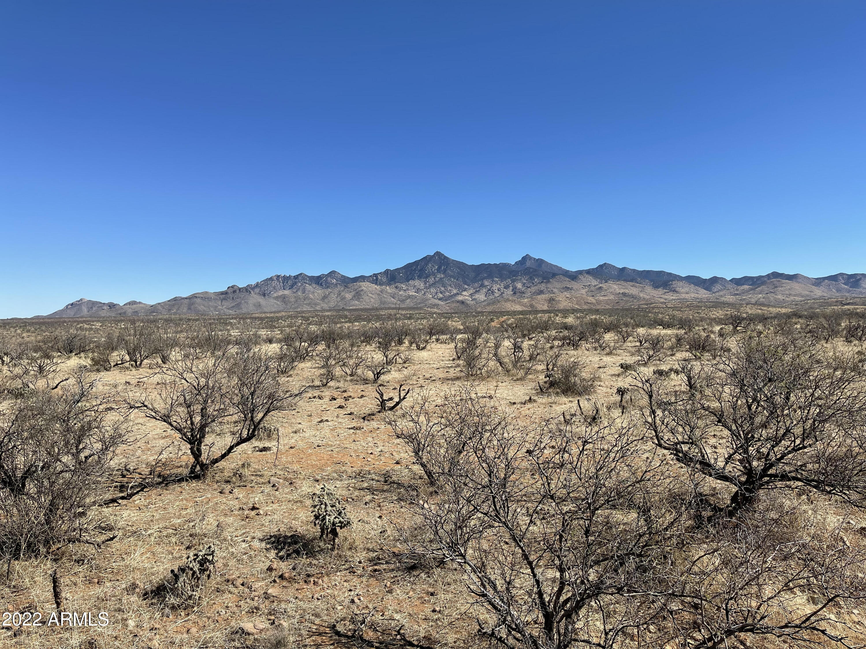 Tbd Camino Kennedy, Unit 114D Rio Rico, AZ 85648 - Photo 5 of 5 a view of a mountain range with trees