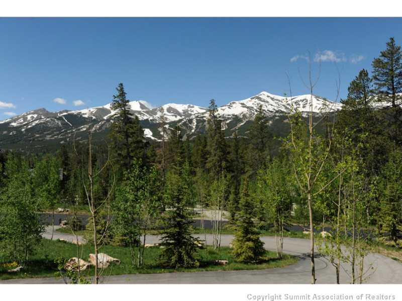 12 Rounds Road Breckenridge, CO 80424 - Photo 14 of 23 a view of a yard