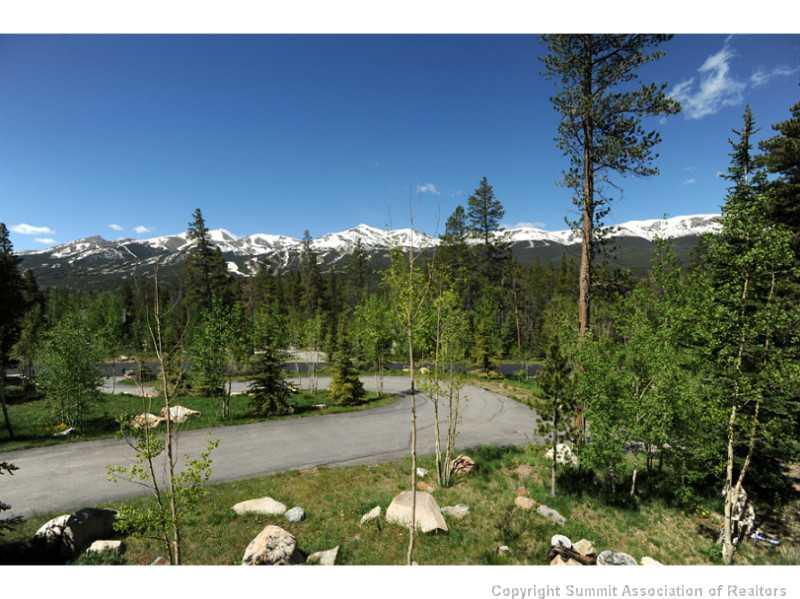 12 Rounds Road Breckenridge, CO 80424 - Photo 16 of 23 a view of a yard