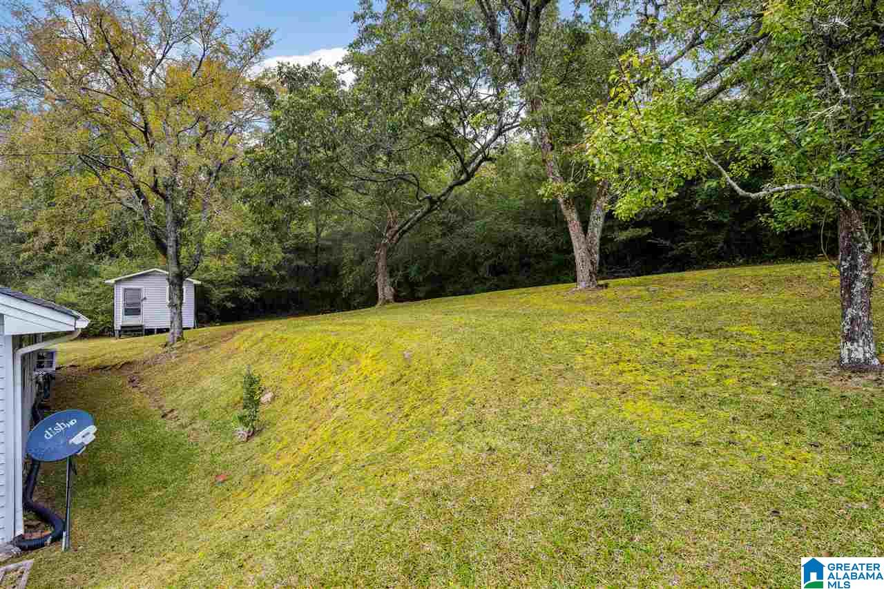 736 Sand Valley Road Oneonta, AL 35121 - Photo 34 of 34