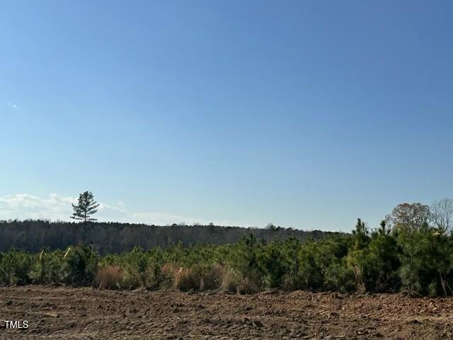 Lot 14 Good Shepherd Trail Spring Spring Hope, NC 27882 - Photo 10 of 12 tempImagedIlbZD