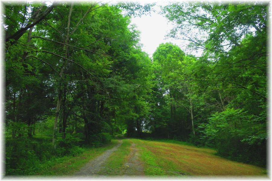 603 Thompson Road Pegram, TN 37143 - Photo 2 of 14 a view of a backyard