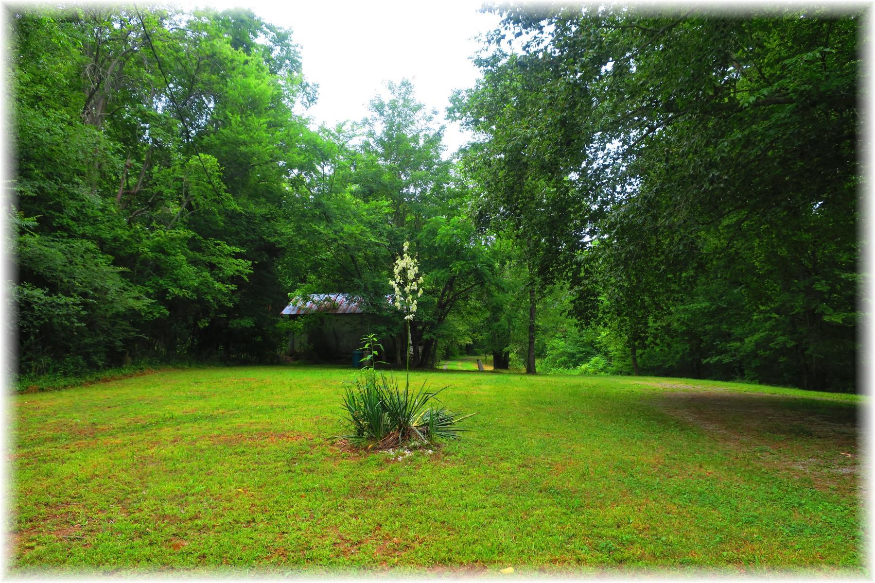 603 Thompson Road Pegram, TN 37143 - Photo 11 of 14 a view of a golf course