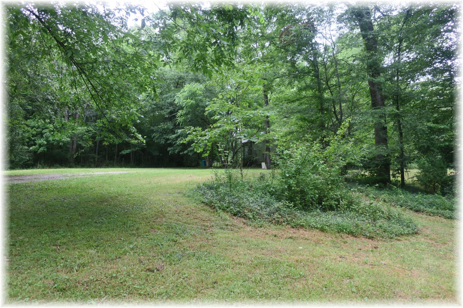 603 Thompson Road Pegram, TN 37143 - Photo 13 of 14 a view of a garden