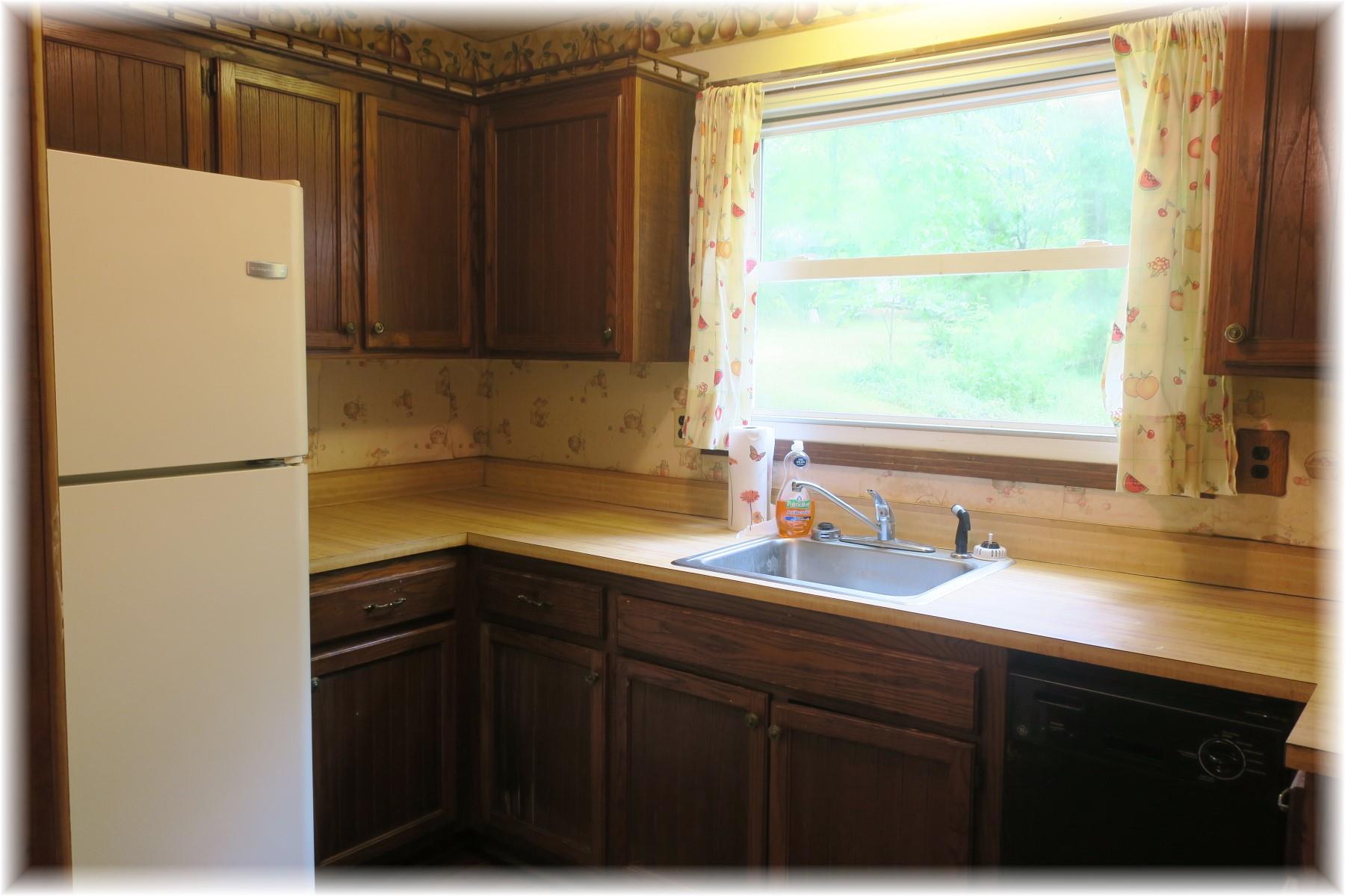 603 Thompson Road Pegram, TN 37143 - Photo 6 of 14 a kitchen with a sink and a refrigerator