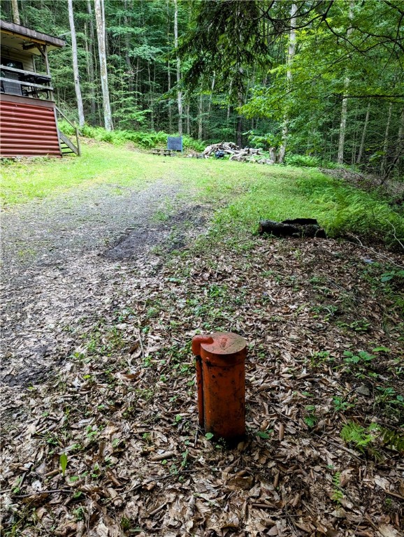 198 Spring Run Road Smethport, PA 16749 - Photo 30 of 30