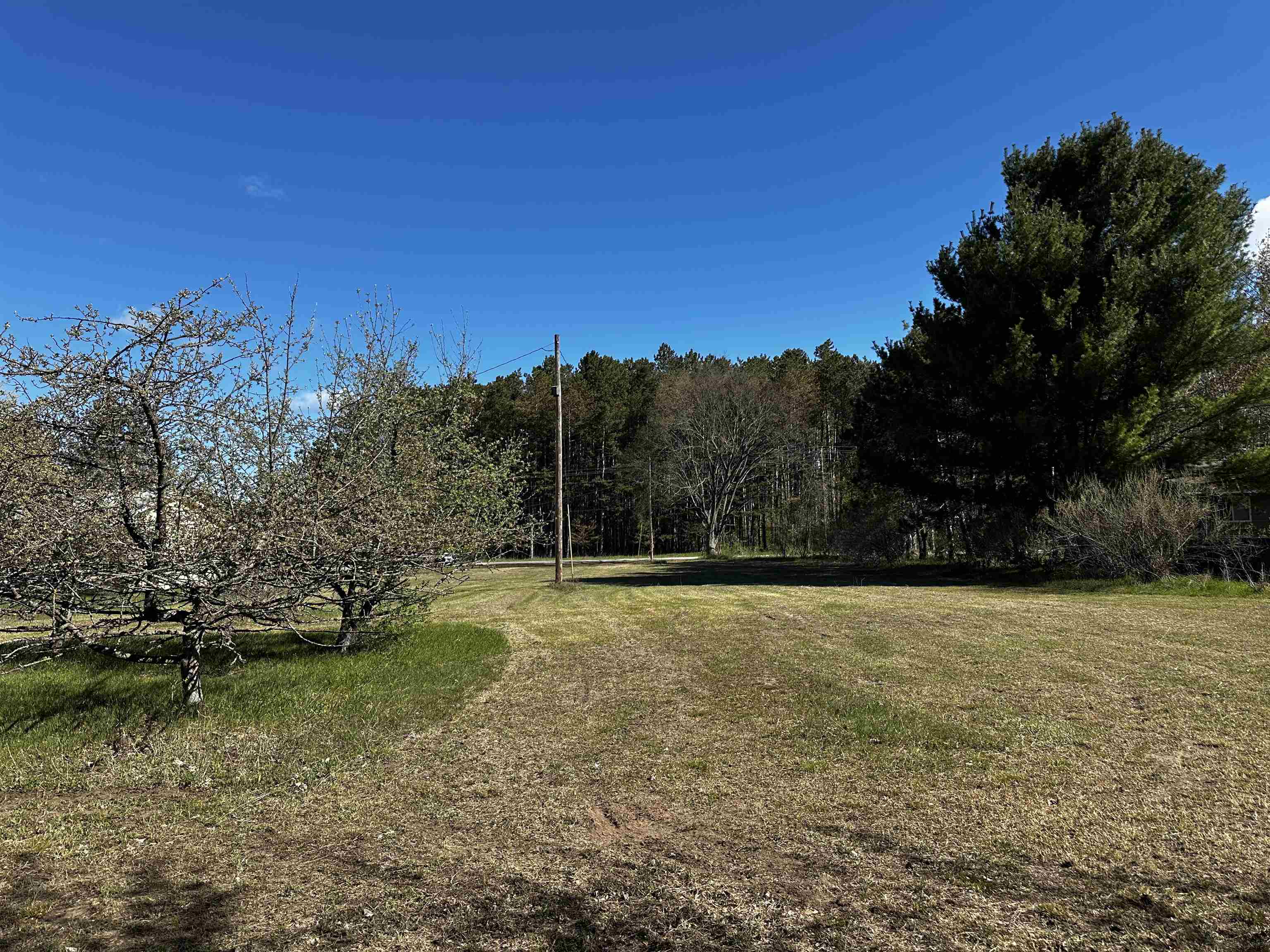 V/l Northwest Wilhelm Road Rapid City, MI 49676 - Photo 6 of 10