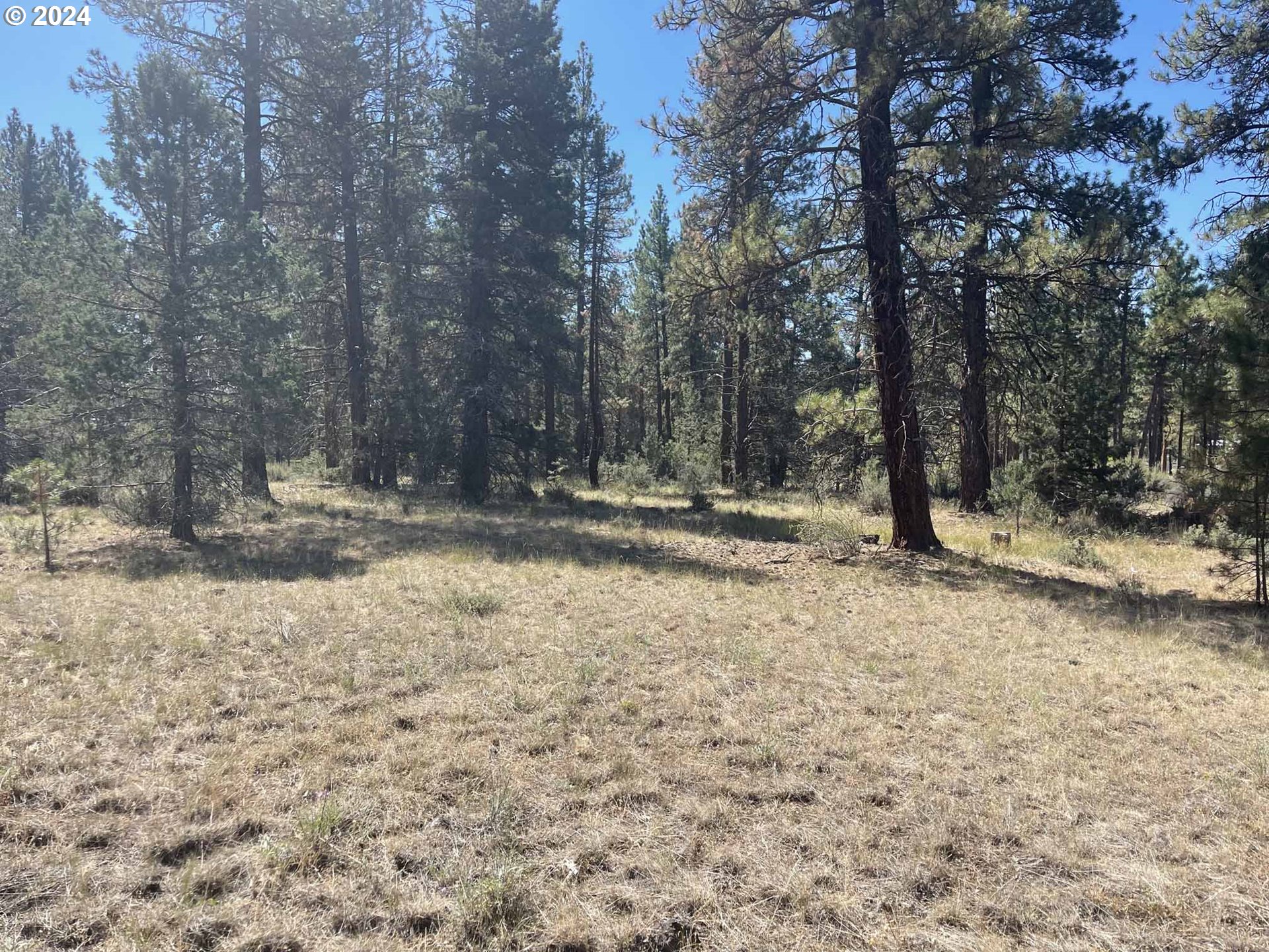 Canary Drive Bonanza, OR 97623 - Photo 16 of 36 a view of outdoor space with trees