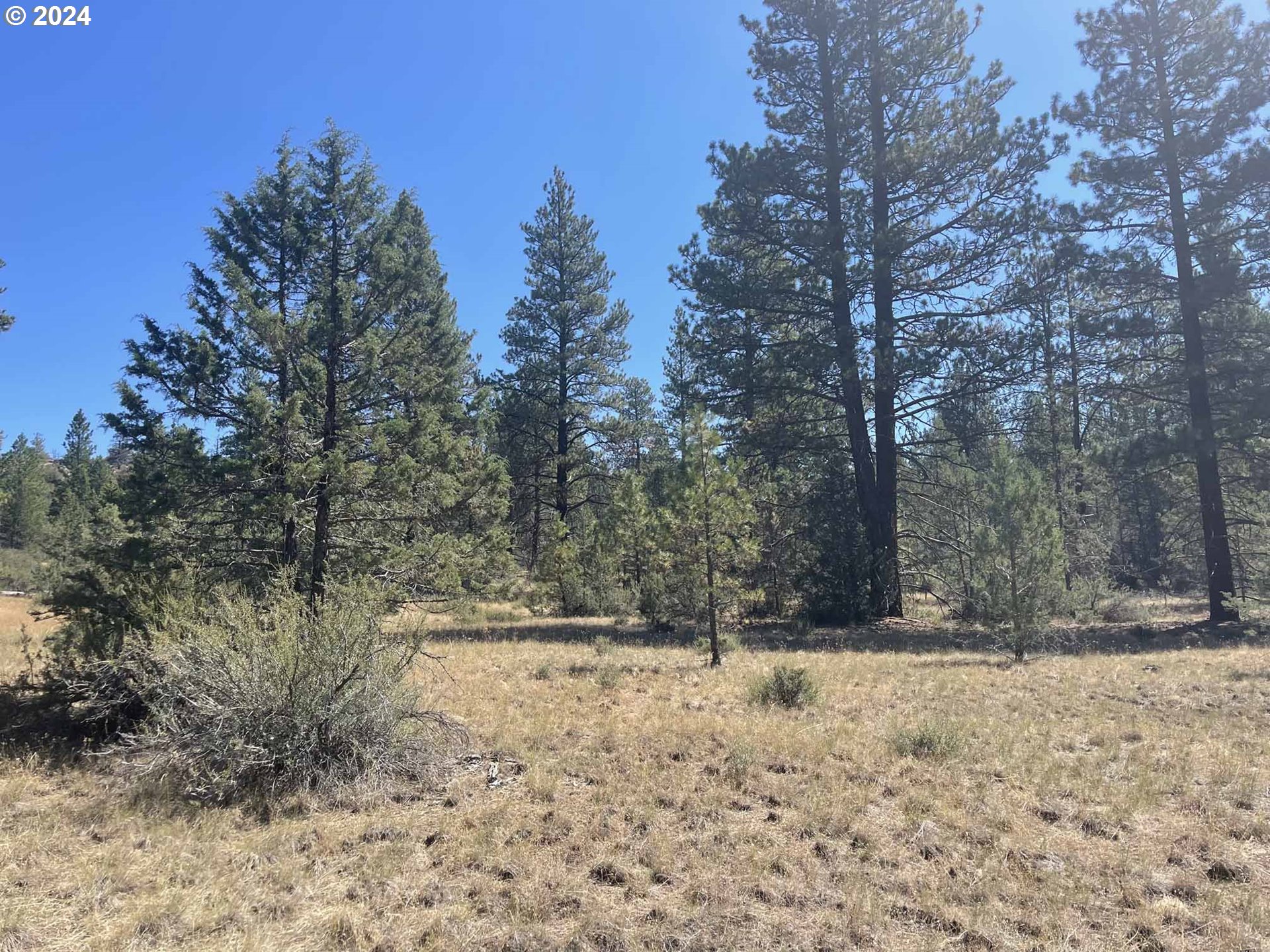 Canary Drive Bonanza, OR 97623 - Photo 21 of 36 a view of covered with snow
