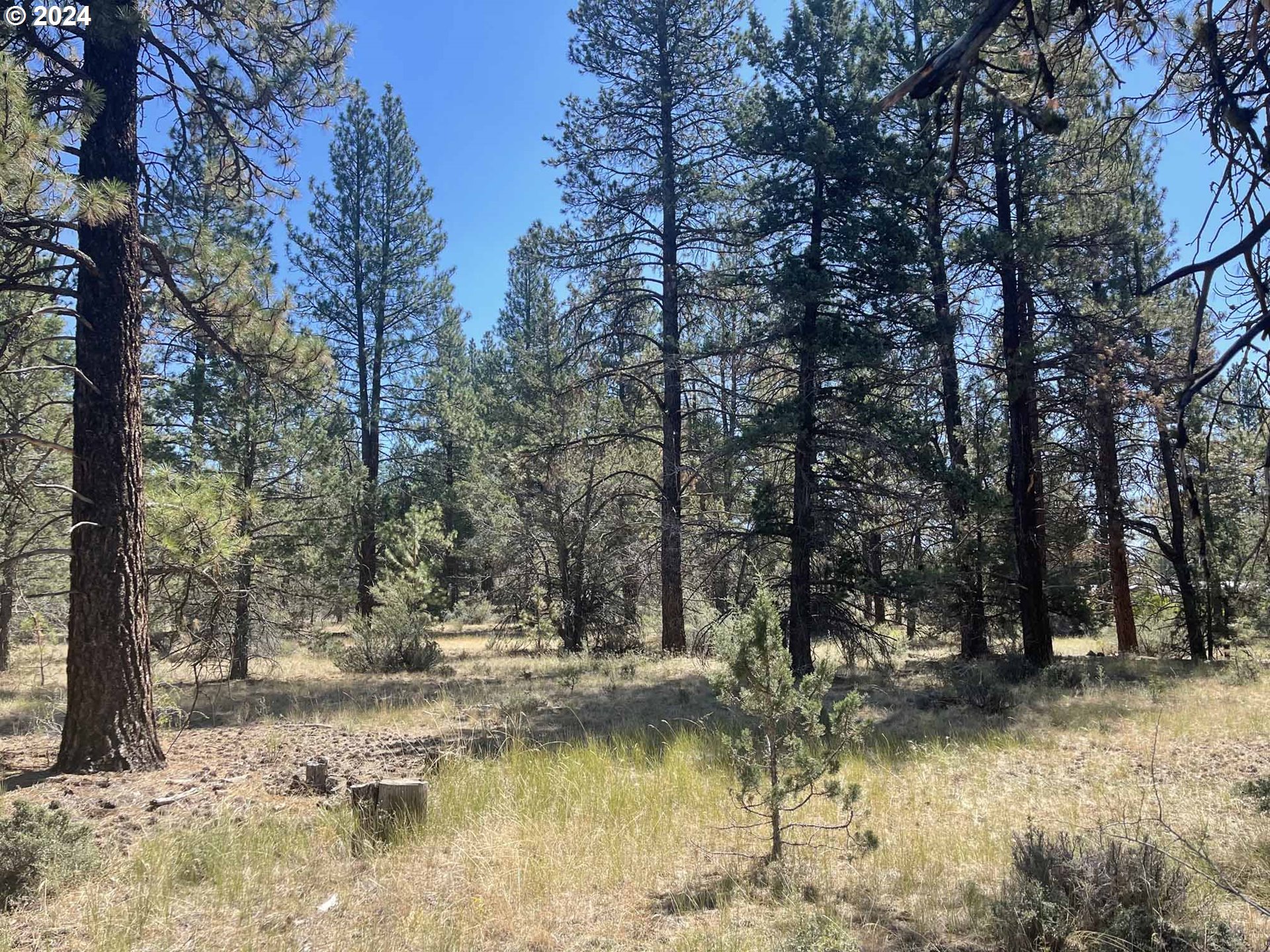 Canary Drive Bonanza, OR 97623 - Photo 31 of 36