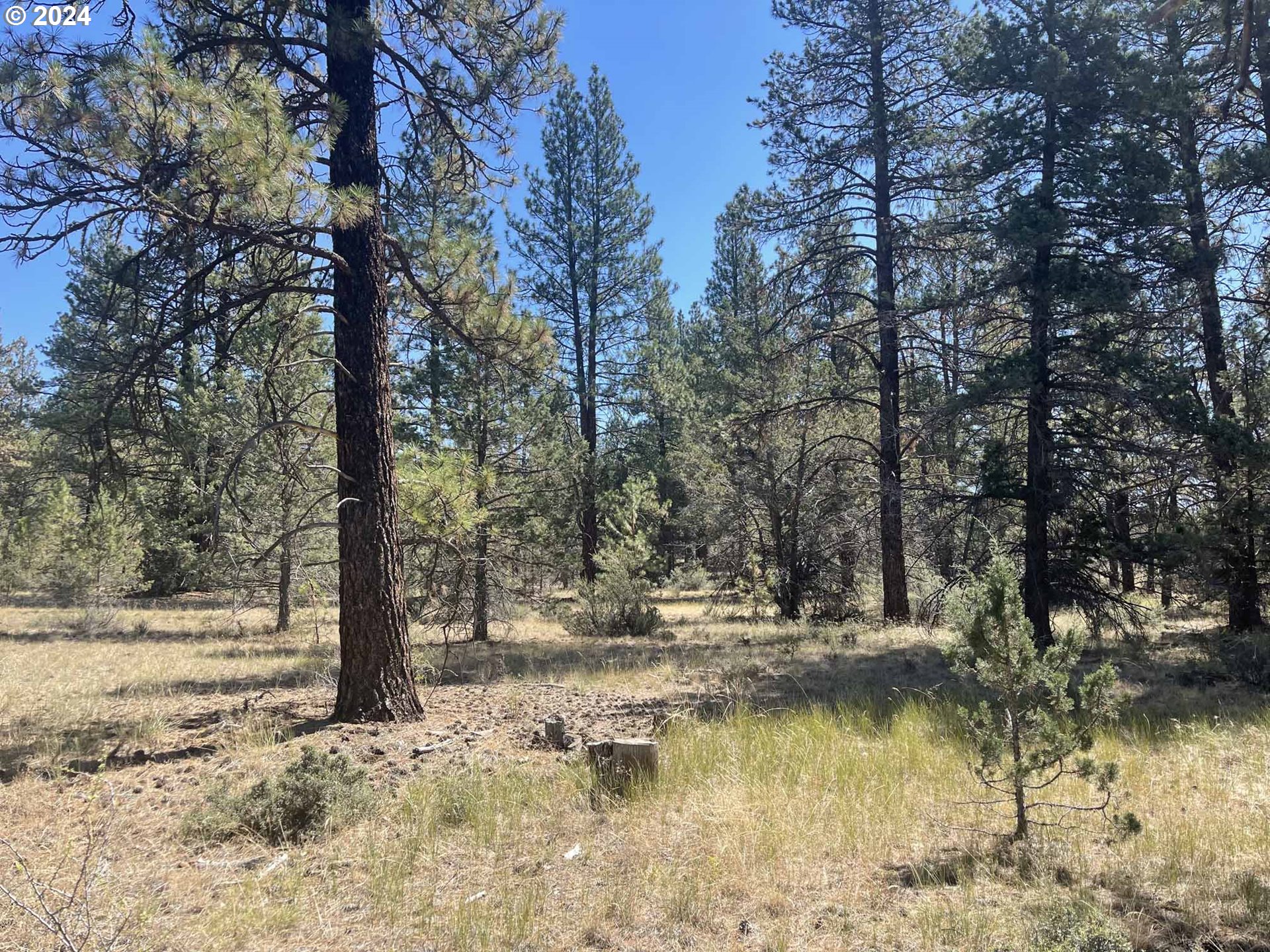 Canary Drive Bonanza, OR 97623 - Photo 32 of 36