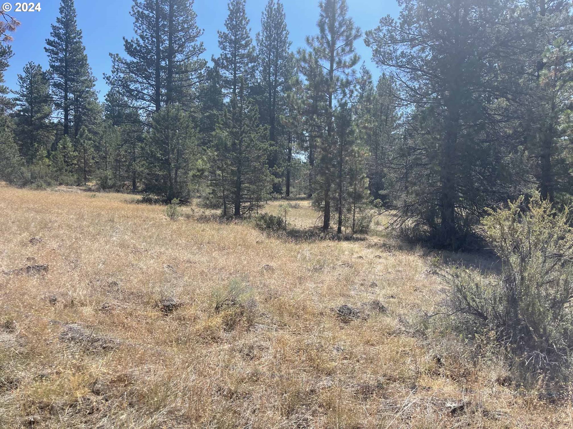 Canary Drive Bonanza, OR 97623 - Photo 8 of 36 a view of a yard covered in snow