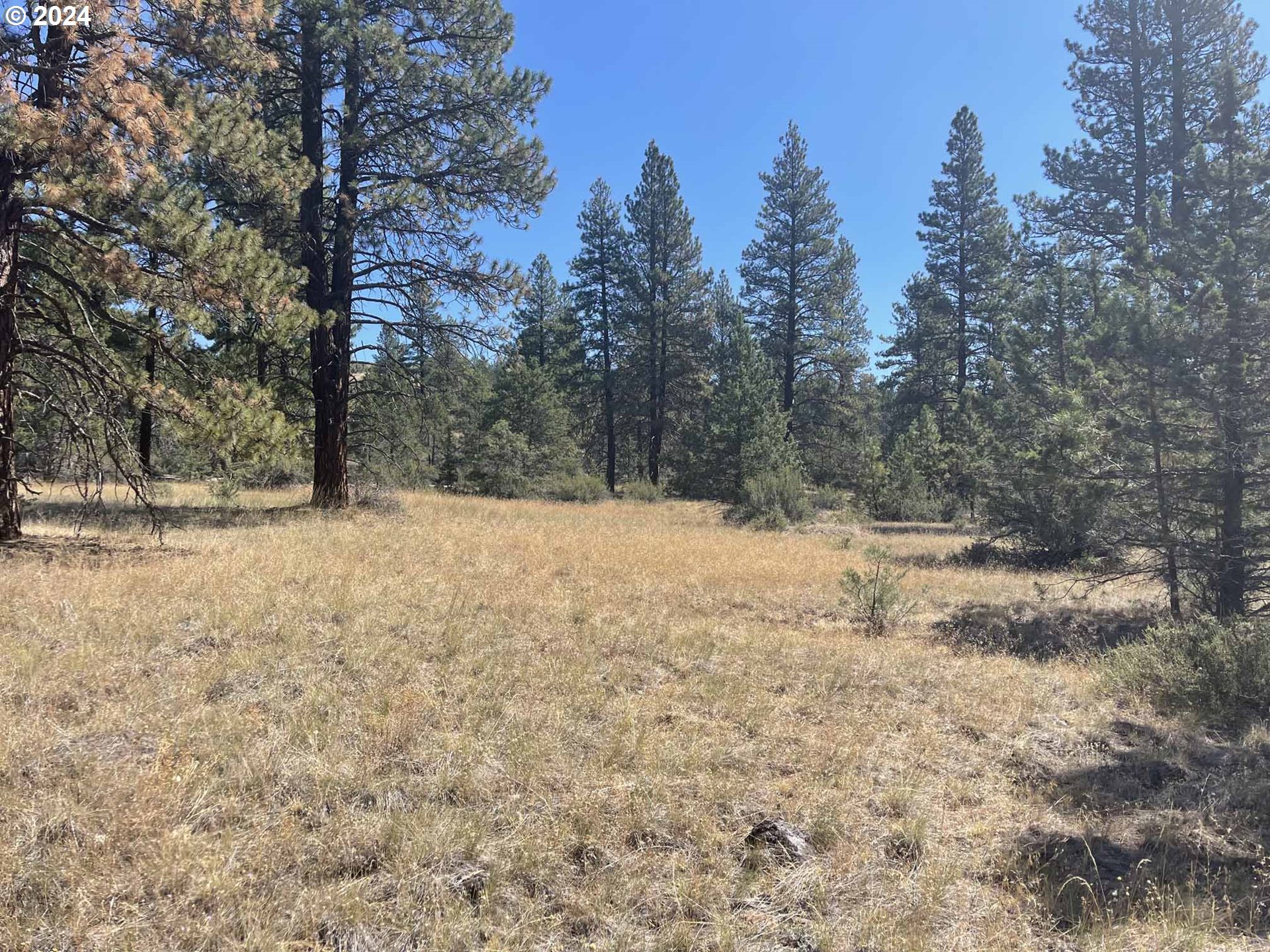 Canary Drive Bonanza, OR 97623 - Photo 10 of 36 a view of snow covered with snow