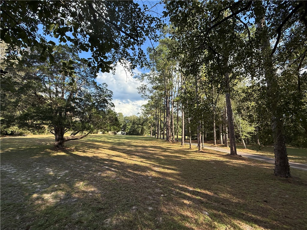 220 Arthur Knowles Road Folkston, GA 31537 - Photo 47 of 80