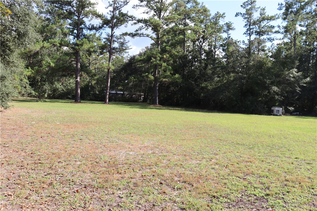 220 Arthur Knowles Road Folkston, GA 31537 - Photo 48 of 80 Side Yard