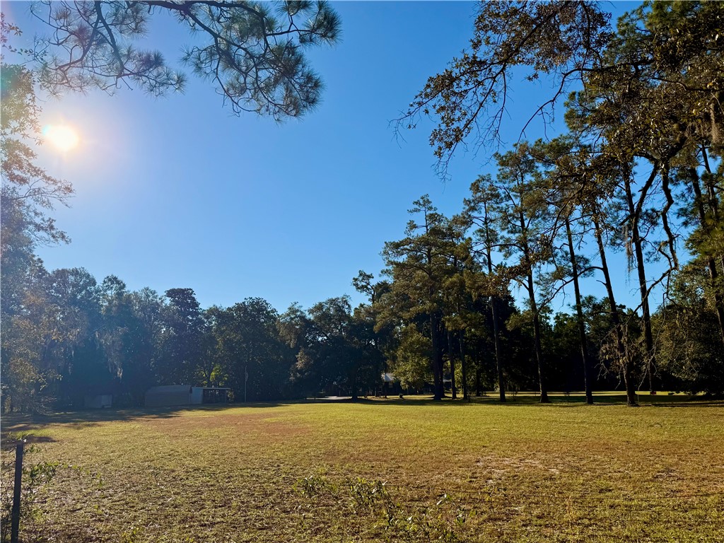 220 Arthur Knowles Road Folkston, GA 31537 - Photo 49 of 80 Front Yard