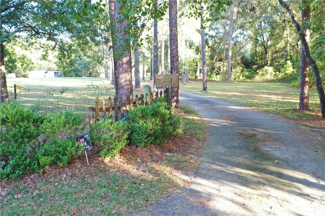 220 Arthur Knowles Road Folkston, GA 31537 - Photo 58 of 80 Driveway