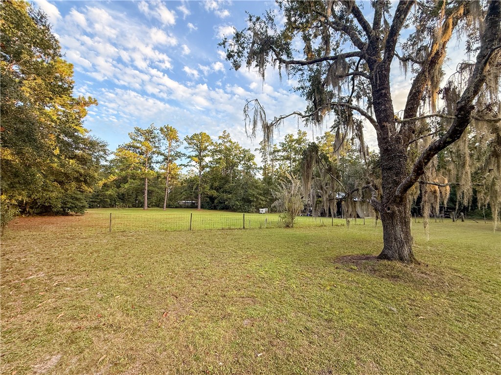 220 Arthur Knowles Road Folkston, GA 31537 - Photo 73 of 80 Backyard