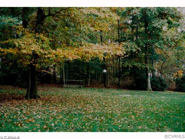 13241 Carters Way Road Chesterfield, VA 23838 - Photo 11 of 11 a view of a backyard