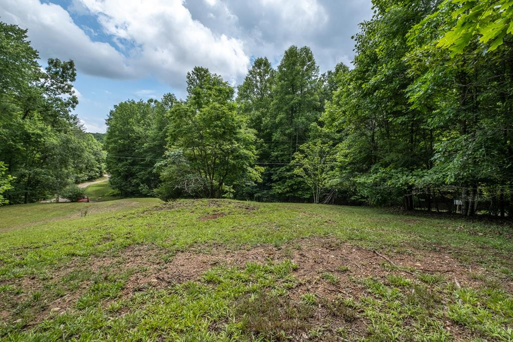 92 Blissful Ridge Murphy, NC 28906 - Photo 20 of 30