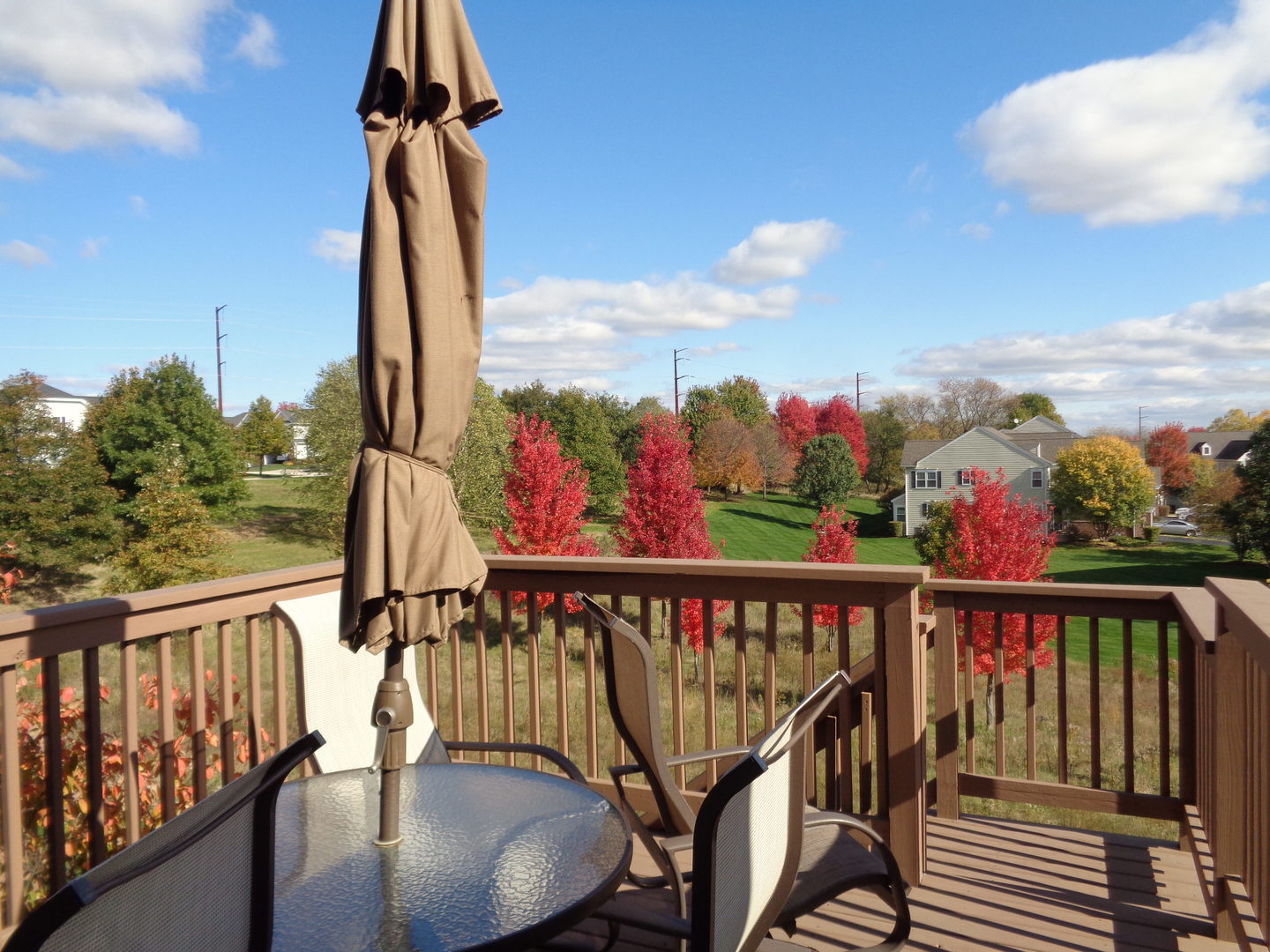 1157 Falcon Ridge Drive Elgin, IL 60124 - Photo 13 of 14 a view of a balcony with furniture